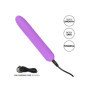 Vibratore classico vaginale Bliss Mini Vibe