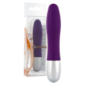 Vibratore classico liscio vaginale anale clitoride DISCRETION PROBE VIBRATOR purple