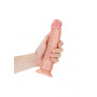 Fallo Big vaginale anale realistico con ventosa curved dildo 20.5 cm pink