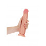 Fallo vaginale enorme realistico anale con ventosa curved dildo 25.5 cm pink