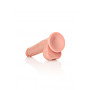 Fallo realistico maxi vaginale anale con ventosa e testicoli straight dildo 28 cm rosa