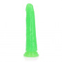 Dildo realistico piccolo con ventosa vaginale anale Slim Dildo Suction glow in the dark