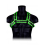 Pettorina sadomaso imbracatura bondage sexy Buckle Bulldog Harness - GitD - Neon Green/Black