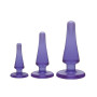 Plug butt anale Initiation Kit Purple