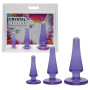 Plug butt anale Initiation Kit Purple