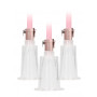 Kit stimolatore pompa per capezzoli e clitoride Clitoral & Nipple Pump Set Large - Rose Gold