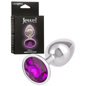 Plug anale in metallo con pietra Jewel Small Amethyst Plug