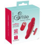 Vibratore per slip RC Panty Vibrator con telecomando