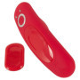 Vibratore per slip RC Panty Vibrator con telecomando
