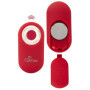 Vibratore per slip RC Panty Vibrator con telecomando