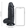 Dildo Nero with Balls 20,3 cm