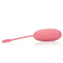 Ovetto in silicone con telecomando pink arabesque