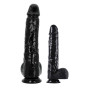 Pene realistico XXXL anale vaginale fallo gigante con ventosa dildo per fisting