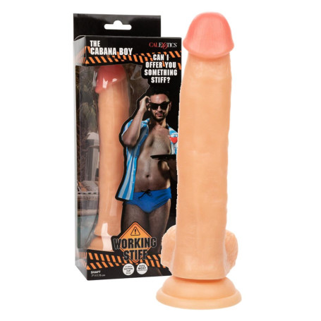 Dildo realistico con testicoli stimolatore anale vaginale pene finto morbido