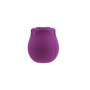 Masturbatore vaginale succhia clitoride in silicone rosy ricaricabile stimolatore per donna punto-g