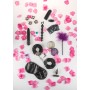 kit set del piacere con vibratore manette anello per pene giochi erotici sexy
