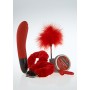 kit set vibratore manette anello fallico vibrante olio per massaggio sexy rosso