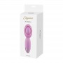 Vibratore vaginale in silicone stimolatore massaggiatore vibrante clitoride rosa