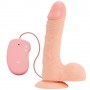 Vibratore realistico vaginale anale con ventosa e testicoli fallo dildo vibrante