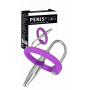 Penis plug in metallo bdsm dilatatore uretrale con anello fallico in silicone