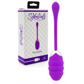 Ovetto vaginale vibrante in silicone ricaricabile mini vibratore ovulo sex toys