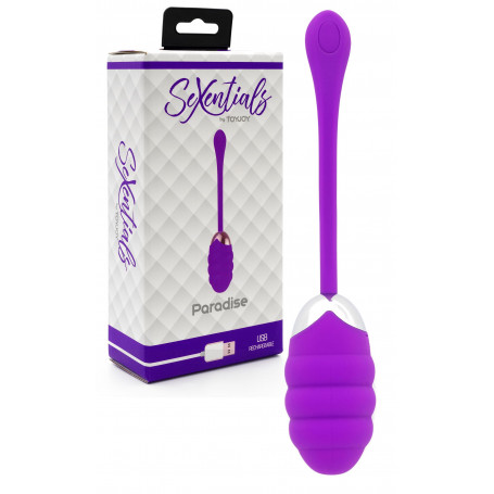 Ovetto vaginale vibrante in silicone ricaricabile mini vibratore ovulo sex toys