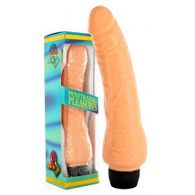 Vibratore vaginale anale dildo fallo vibrante morbido pene finto realistico sexy