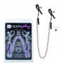 Pinze strizza capezzoli bondage morsetti stimolatore seno nipple clamps fetish