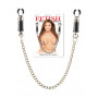 Pinze strizza capezzoli bondage stimolatore per seno morsetti bdsm nipple clamps