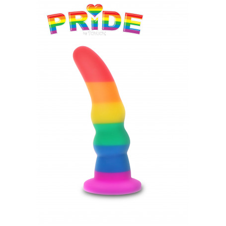 Fallo anale pride dildo con ventosa plug anal butt in silicone morbido pride