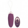 Ovetto vaginale vibrante in silicone ovulo con telecomando wireless vibratore