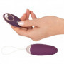 Ovetto vaginale vibrante in silicone ovulo con telecomando wireless vibratore