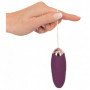 Ovetto vaginale vibrante in silicone ovulo con telecomando wireless vibratore