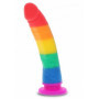 Fallo vaginale anale in silicone realistico Unicorn Dancer 8 Inch fallo vaginale anale pride