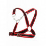 Abbigliamento erotico maschile body harness intimo bondage uomo sexy hot men