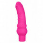 Vibratore dildo vaginale pene finto stimolatore punto g clitoride fallo vibrante