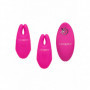 Morsetti vibranti rosa strizza capezzoli Silicone Remote Nipple Clamps