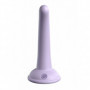 Dildo piccolo liscio anale plug Curious Five 5 Inch viola