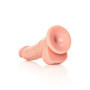 Fallo realistico con ventosa e testicoli mini anale vaginale curved 6" Rosa